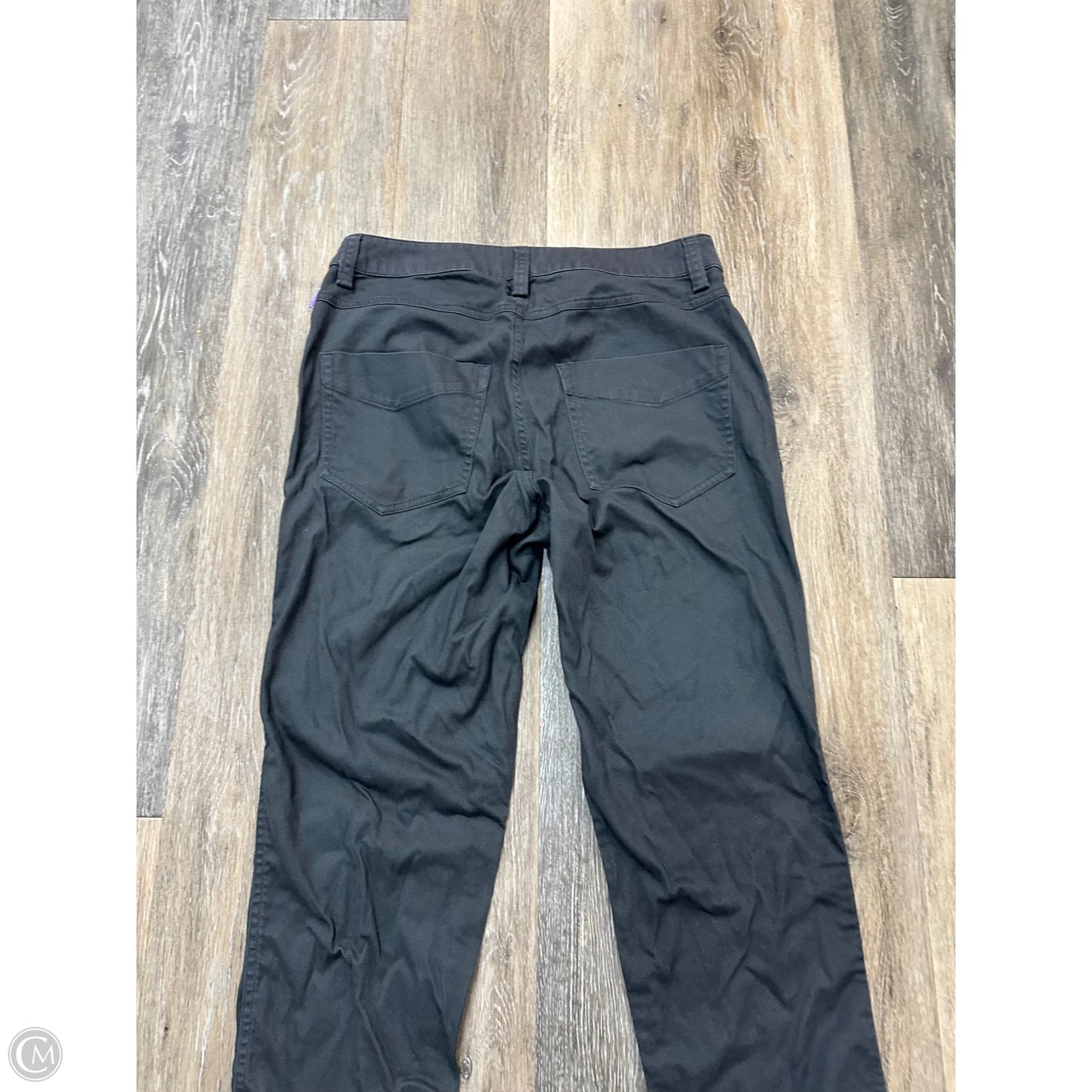 Pants Cargo & Utility By Arctaryx In Grey, Size: 4