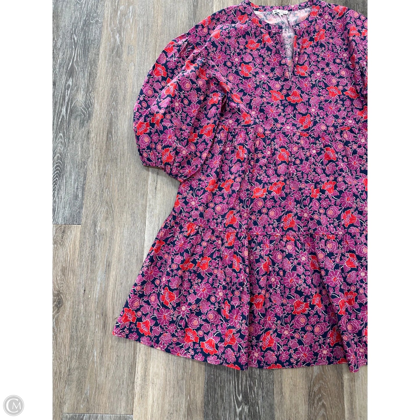 Dress Casual Short By Sundry In Floral Print, Size: M