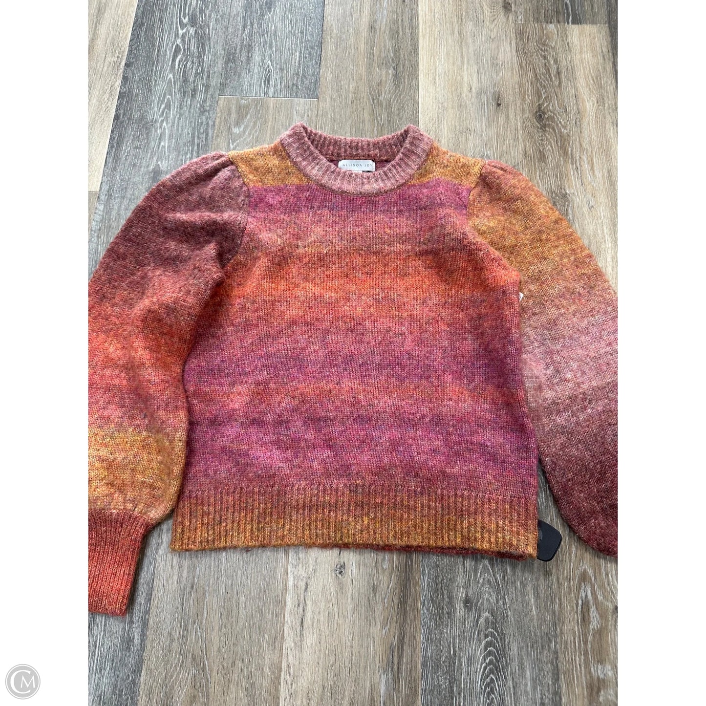 Sweater By Allison Joy In Multi-colored, Size: S
