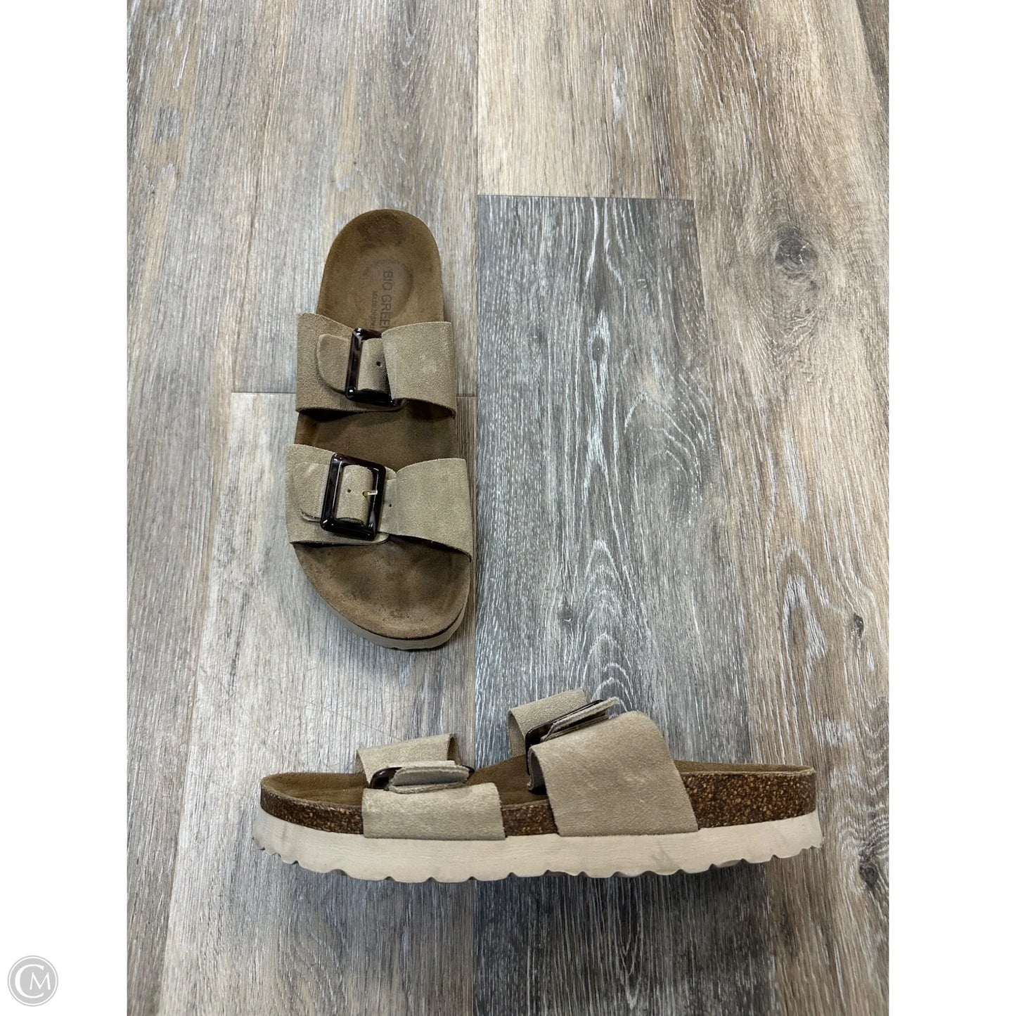 Sandals Flats By Bio Green In Tan, Size: 9