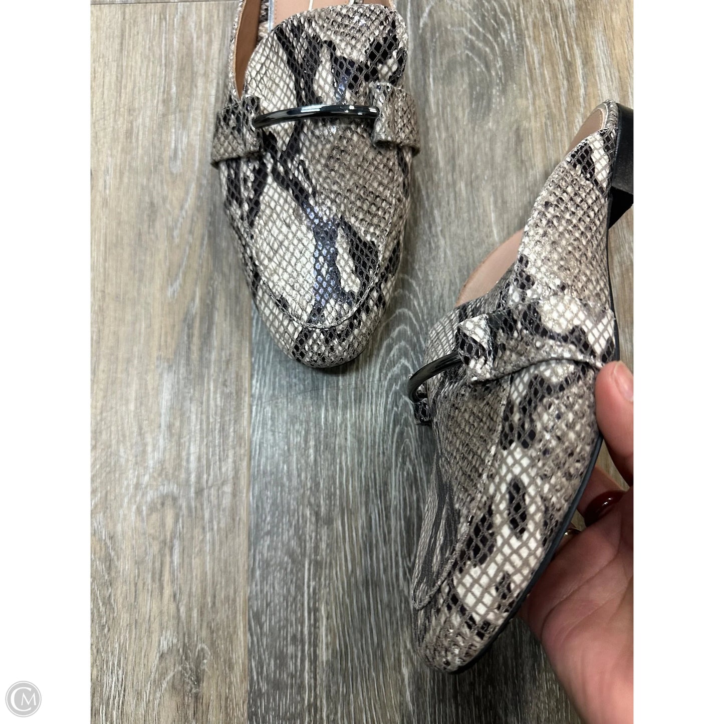 Shoes Flats By Linea Paolo In Snakeskin Print, Size: 8