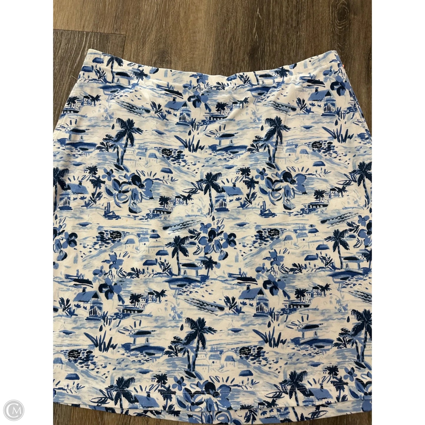 Skirt Mini & Short By J. Jill In Blue, Size: M