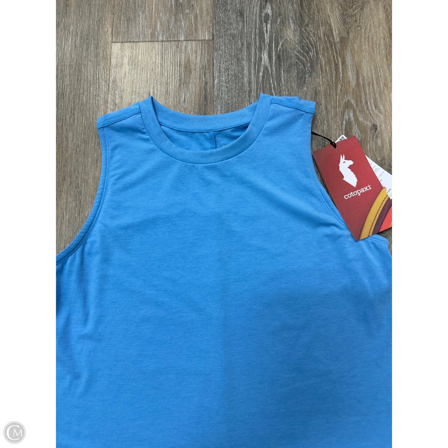 Athletic Tank Top By Cotopaxi In Blue, Size: S