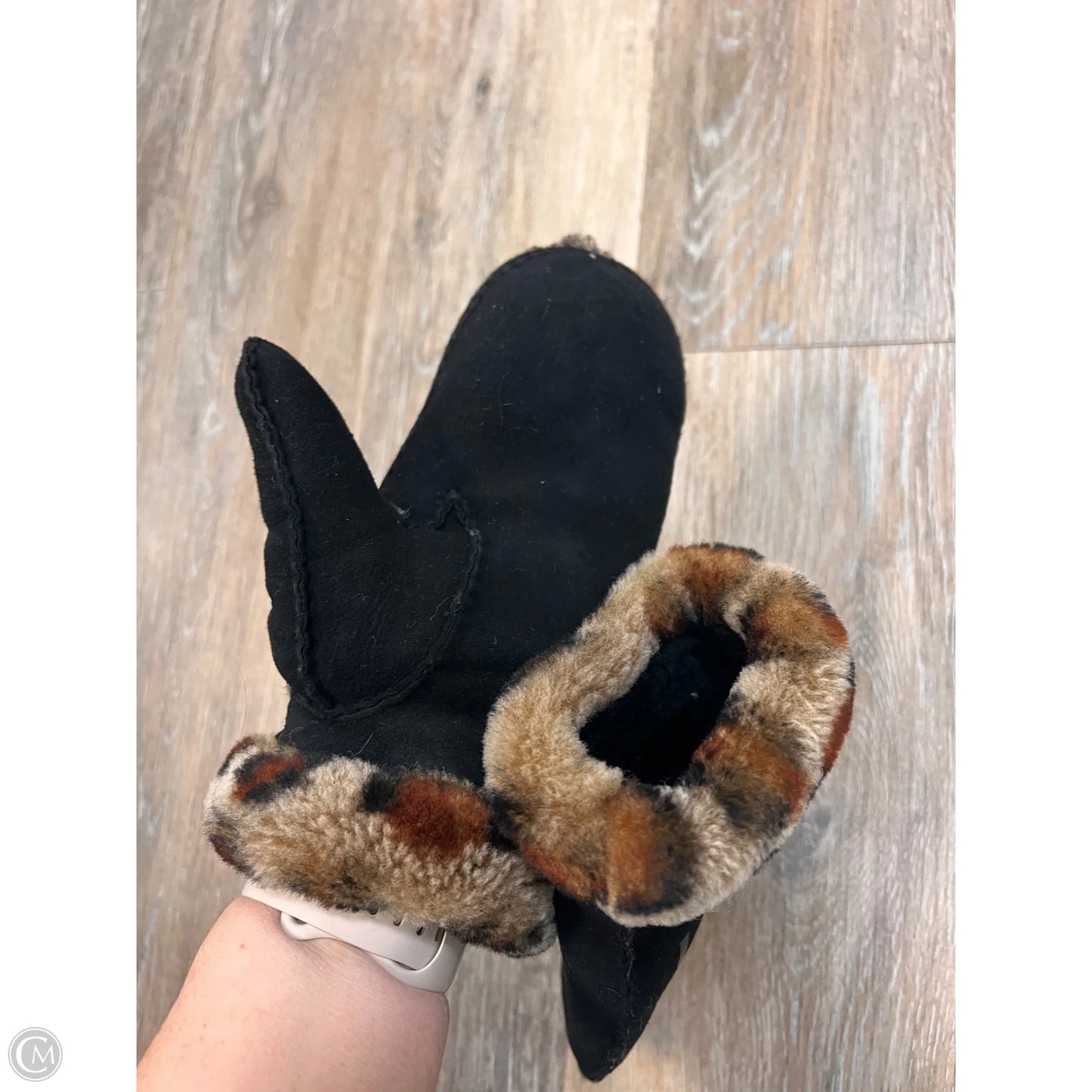 Gloves Designer By Ugg