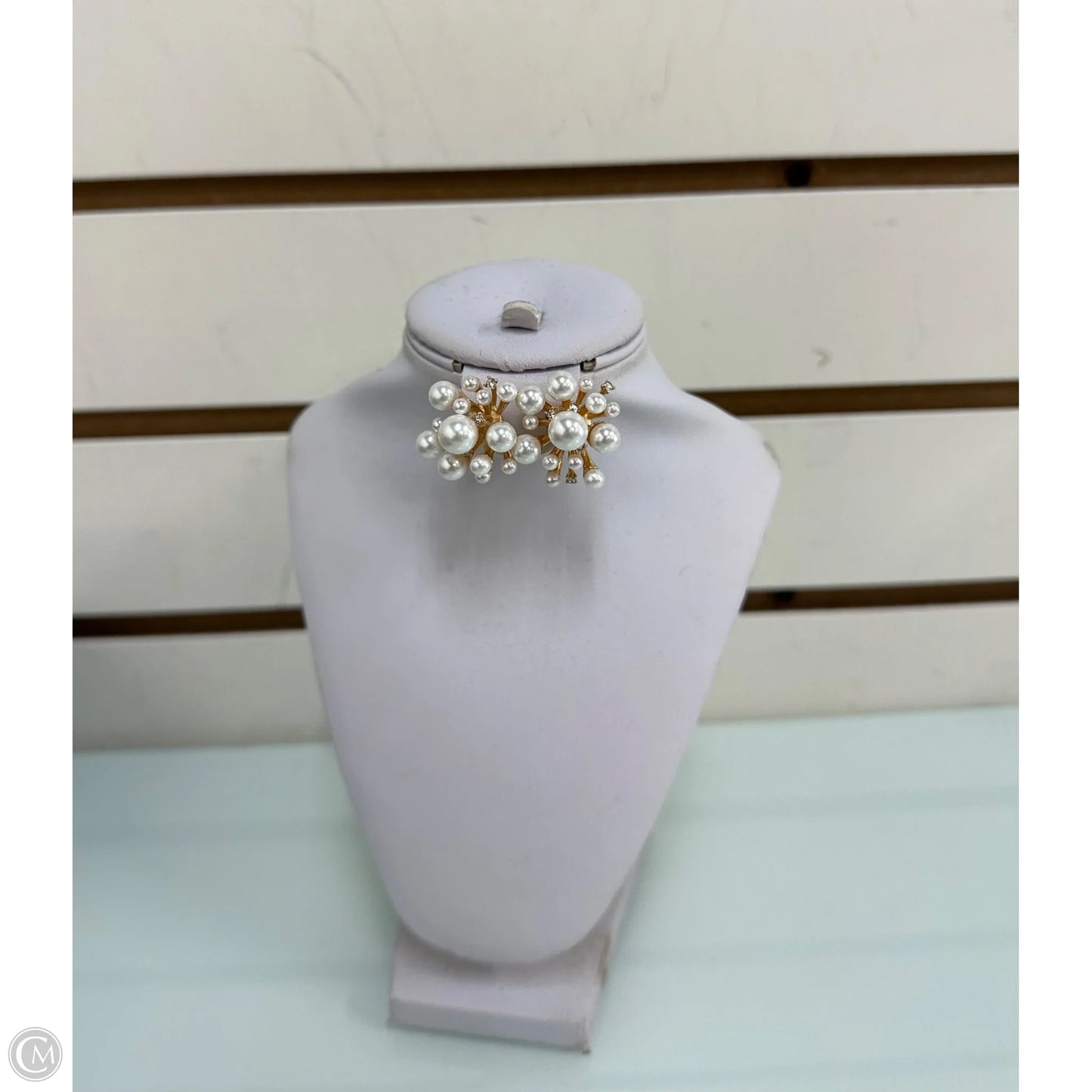 Earrings Designer By Kate Spade