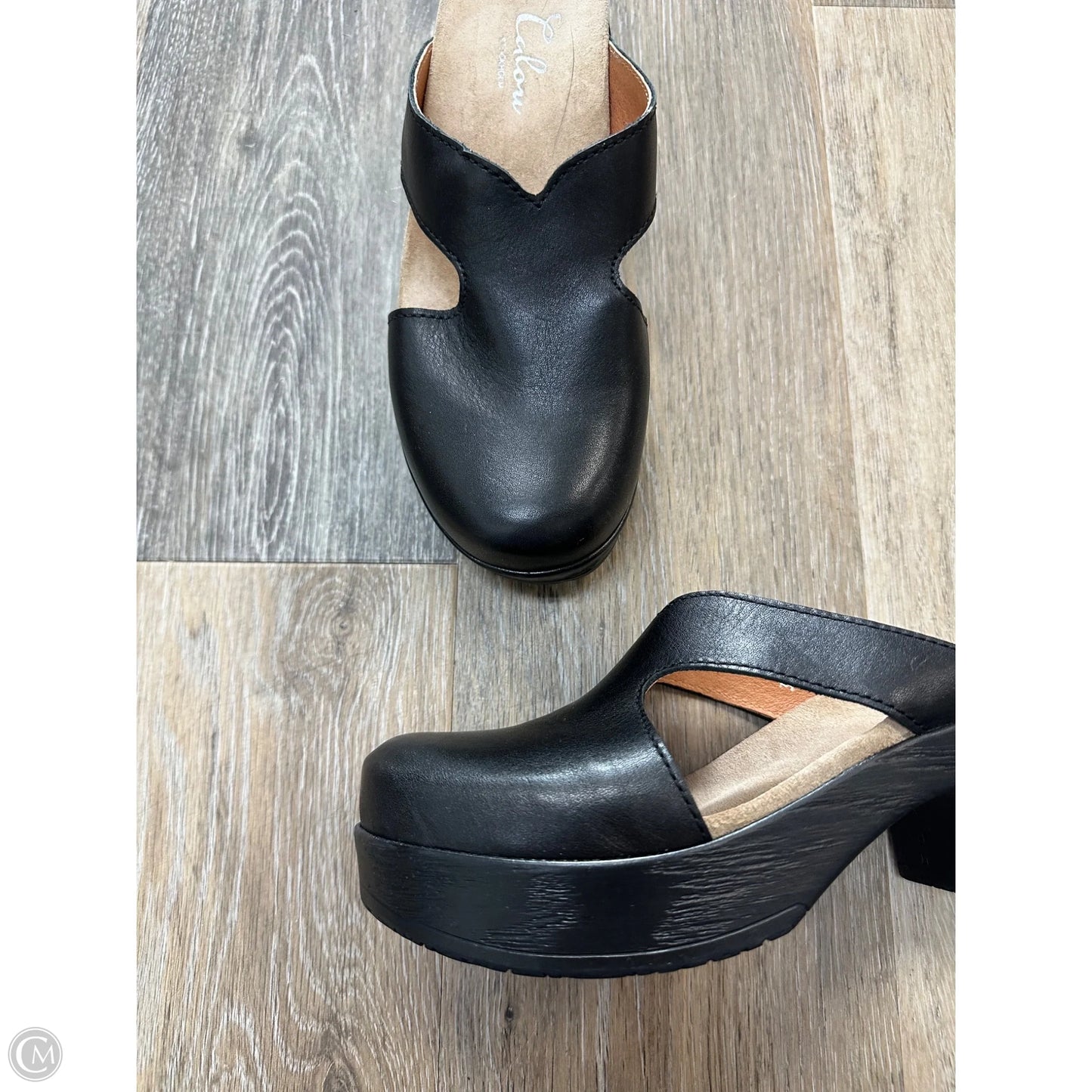 Shoes Heels Block By Calou In Black, Size: 6
