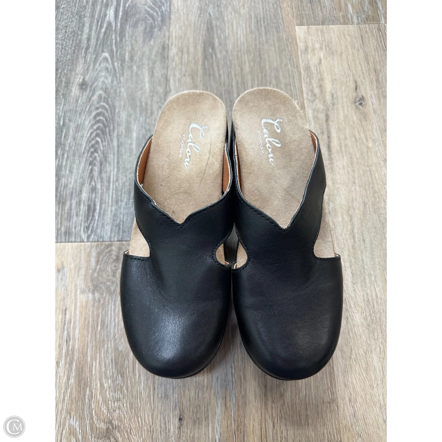Shoes Heels Block By Calou In Black, Size: 6