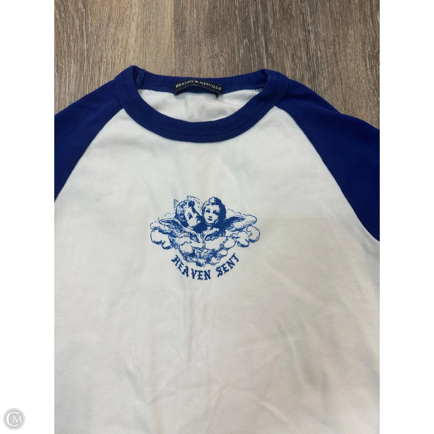 Top Short Sleeve By Brandy Melville In Blue & White, Size: S