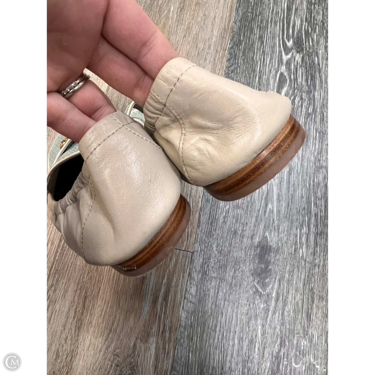 Shoes Designer By Tory Burch In Blue & Cream, Size: 9.5