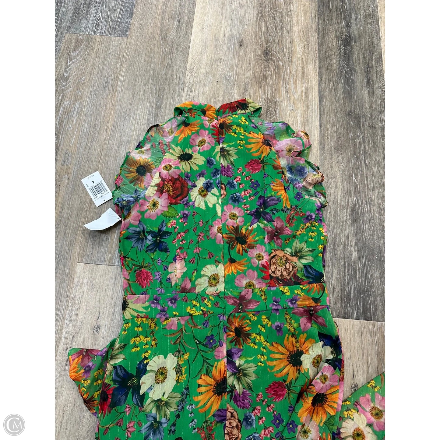 Dress Party Long By Betsy Adam In Green, Size: 4