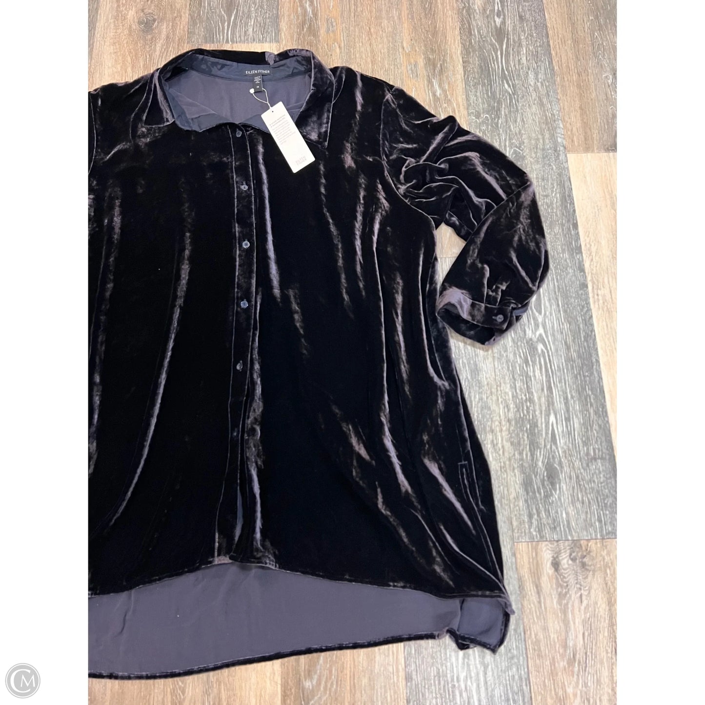 Blouse Long Sleeve By Eileen Fisher In Purple, Size: 2x