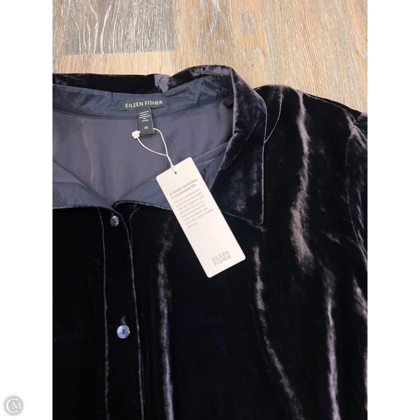 Blouse Long Sleeve By Eileen Fisher In Purple, Size: 2x