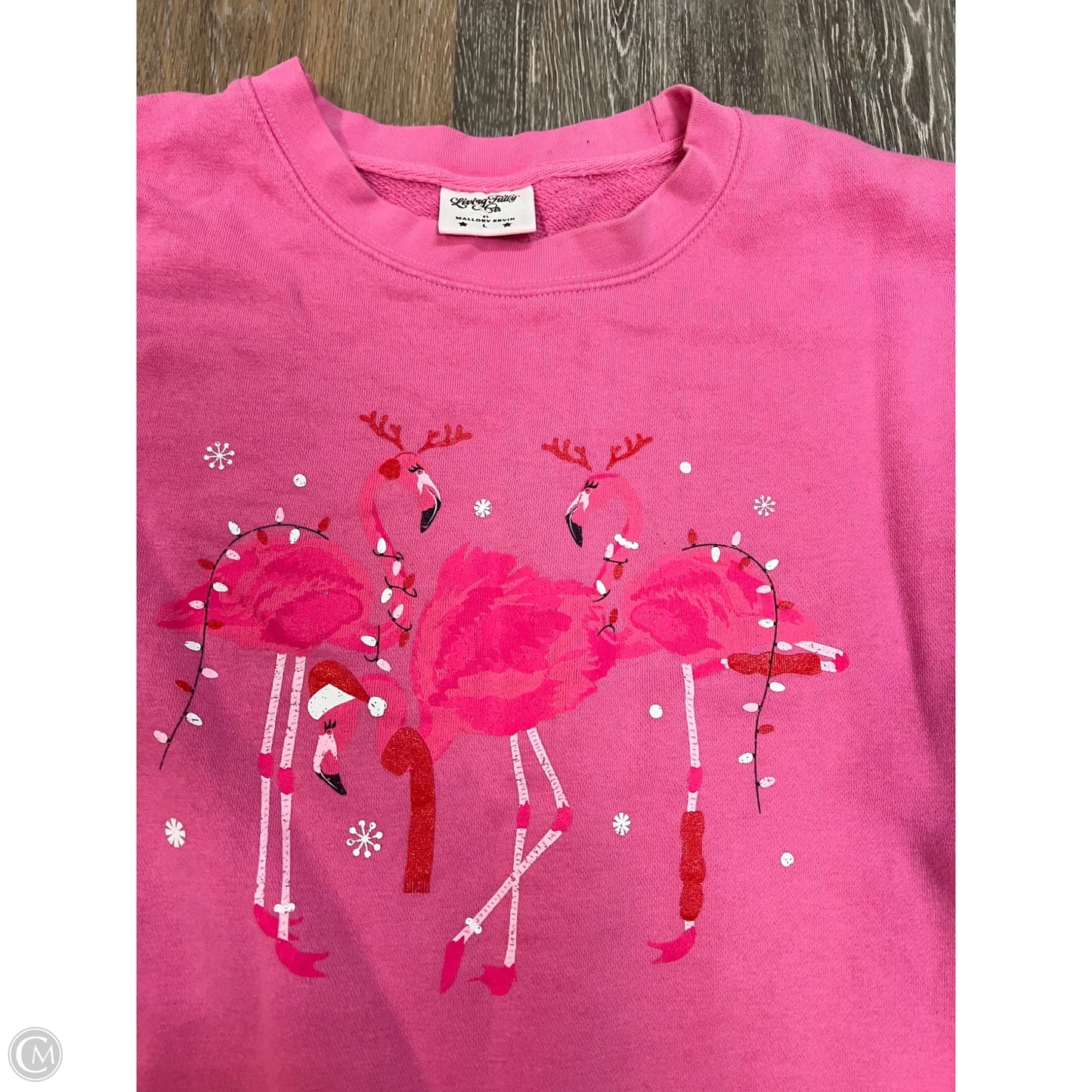 Sweatshirt Crewneck By Living Fully by Mallory Ervin In Pink, Size: L