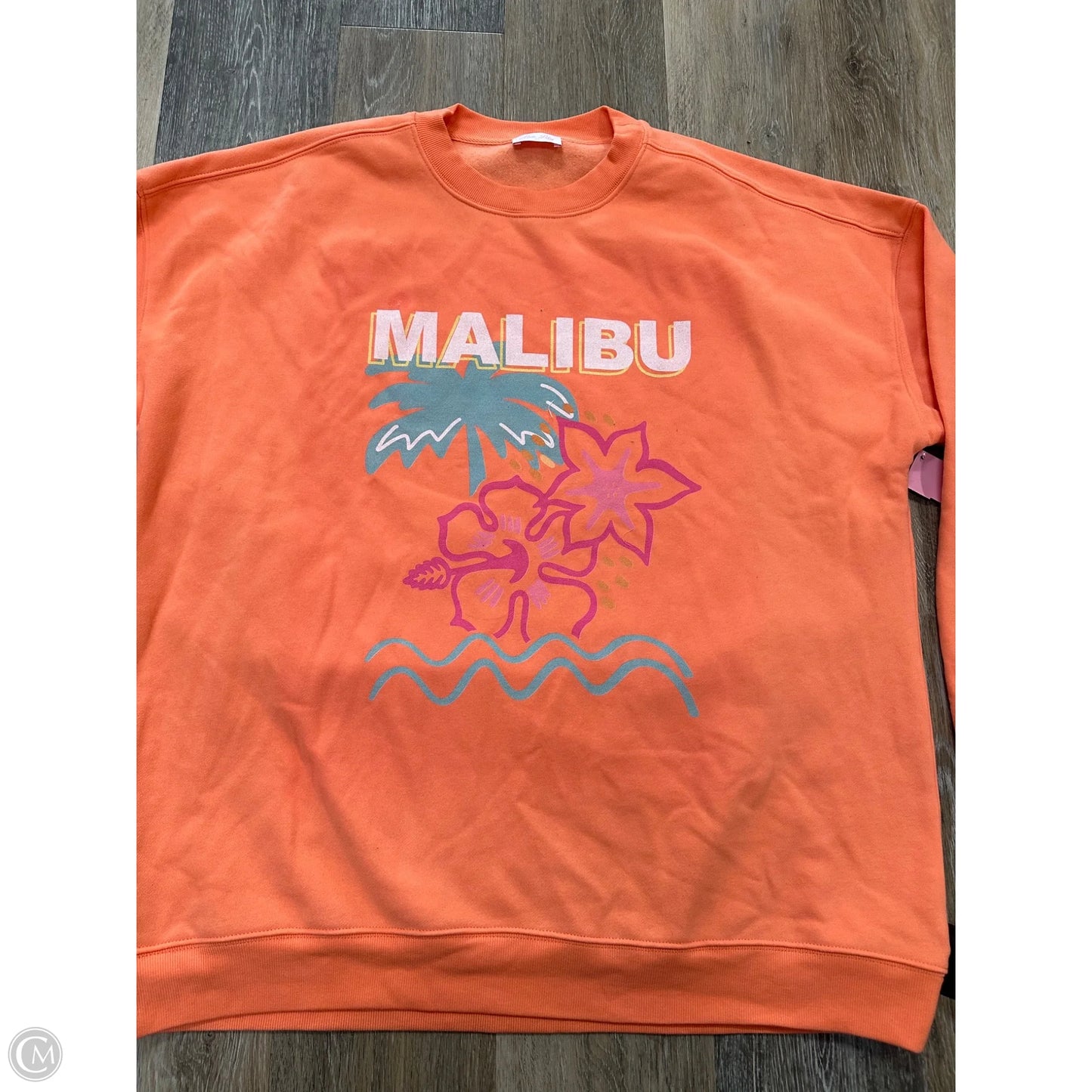 Sweatshirt Crewneck By Pink Lily In Orange, Size: L