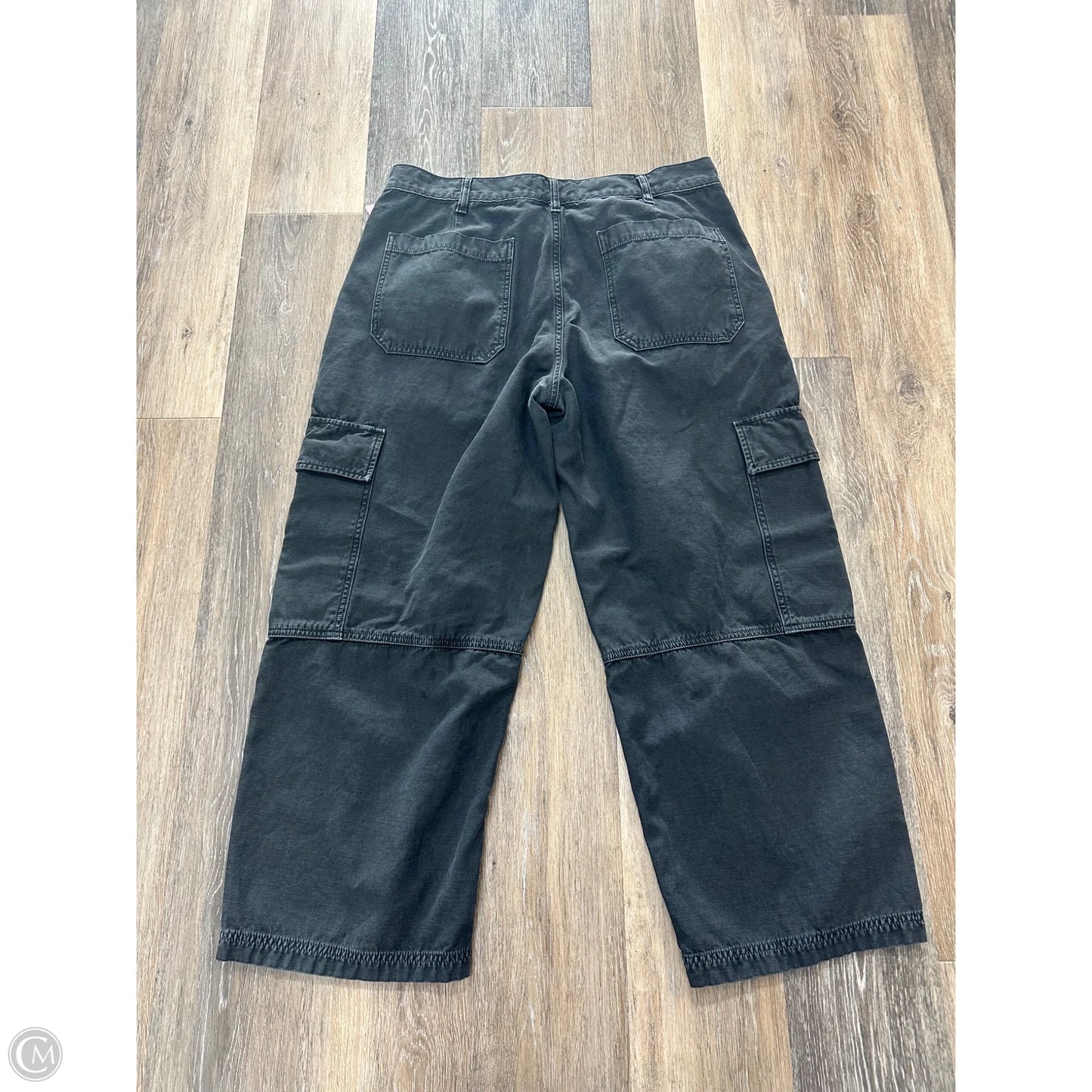 Pants Cargo & Utility By Agolde In Grey, Size: 12