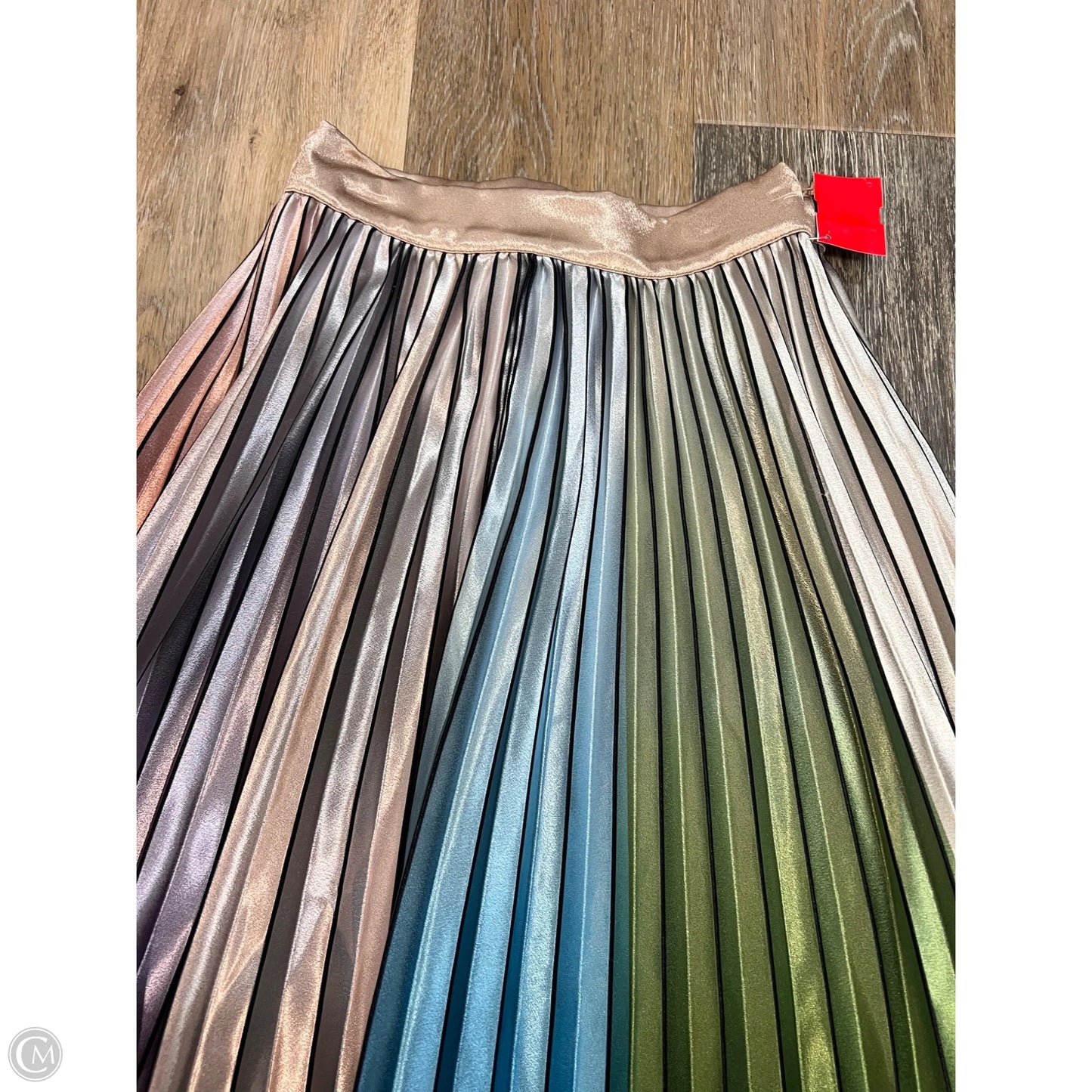 Skirt Maxi By Anthropologie In Rainbow Print, Size: 2