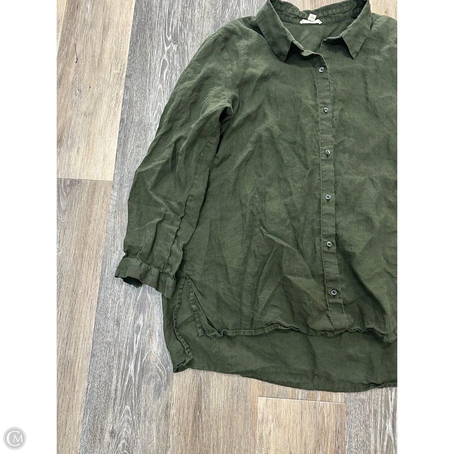 Blouse Long Sleeve By Eileen Fisher In Green, Size: M