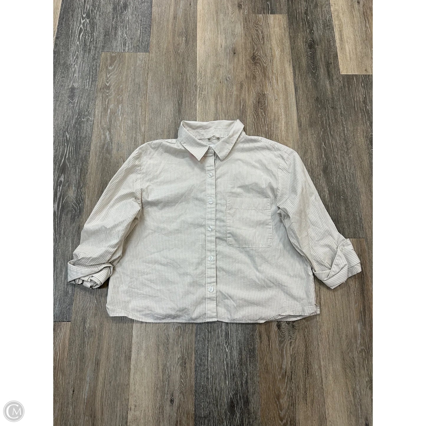 Blouse Long Sleeve By Evereve In Striped Pattern, Size: S