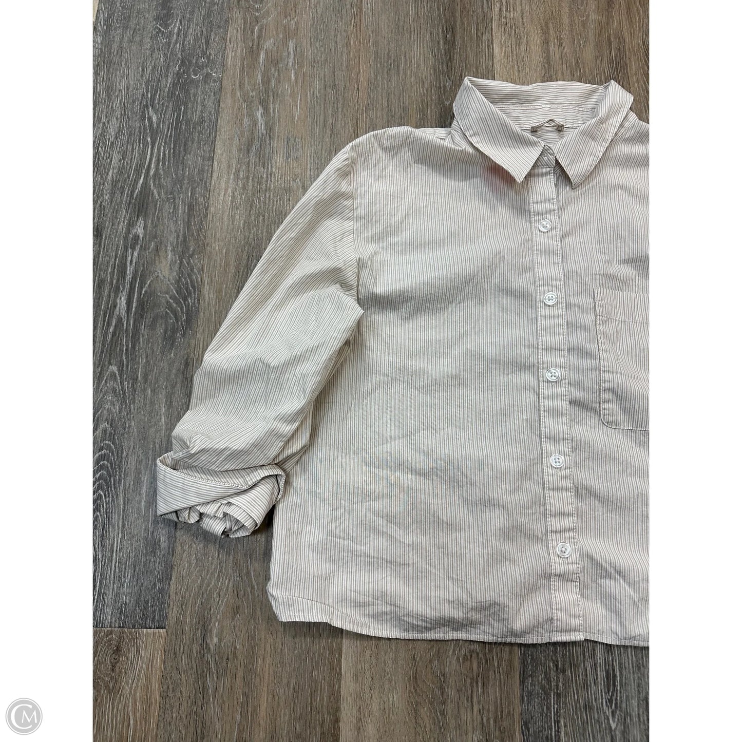 Blouse Long Sleeve By Evereve In Striped Pattern, Size: S
