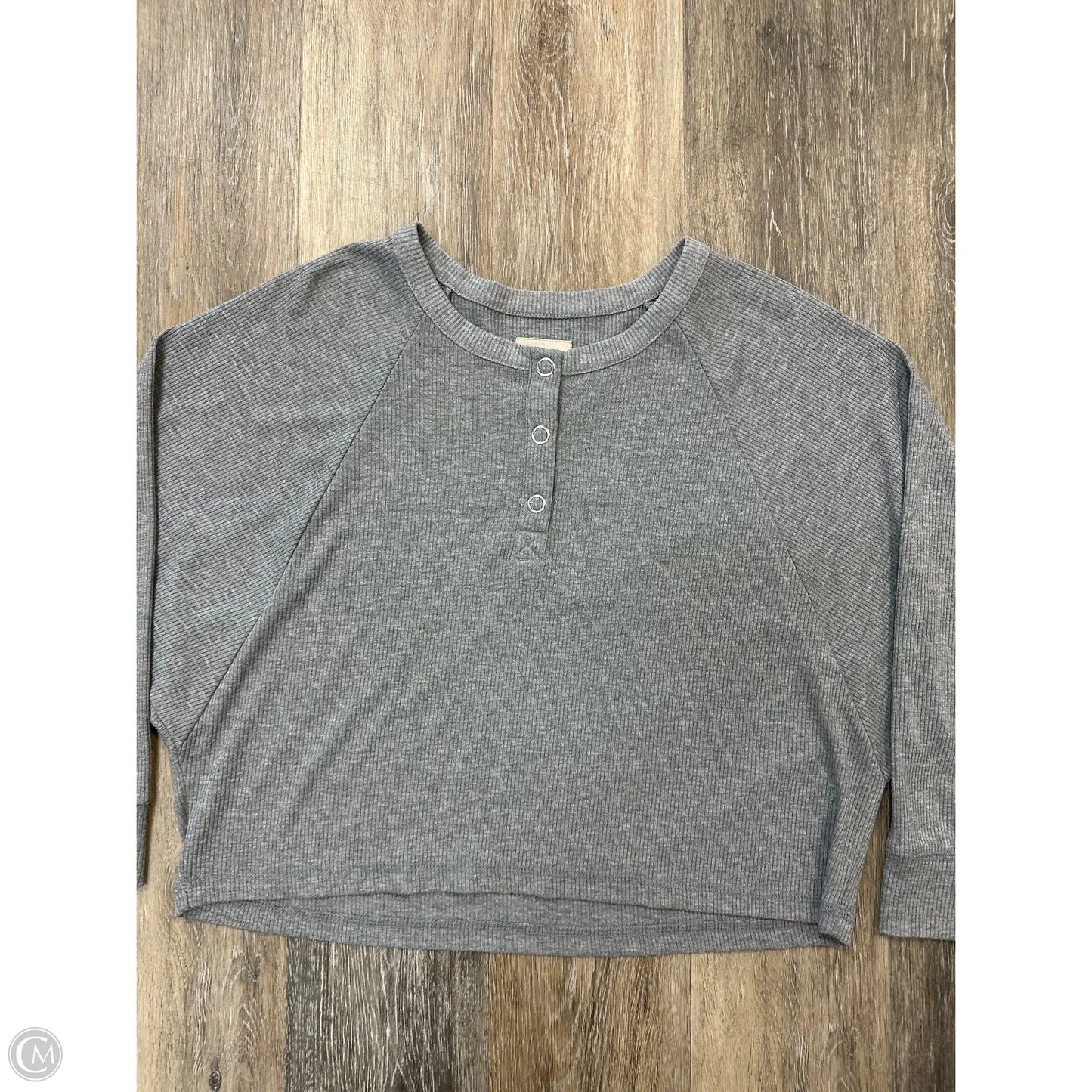 Top Long Sleeve By Chaser In Grey, Size: M