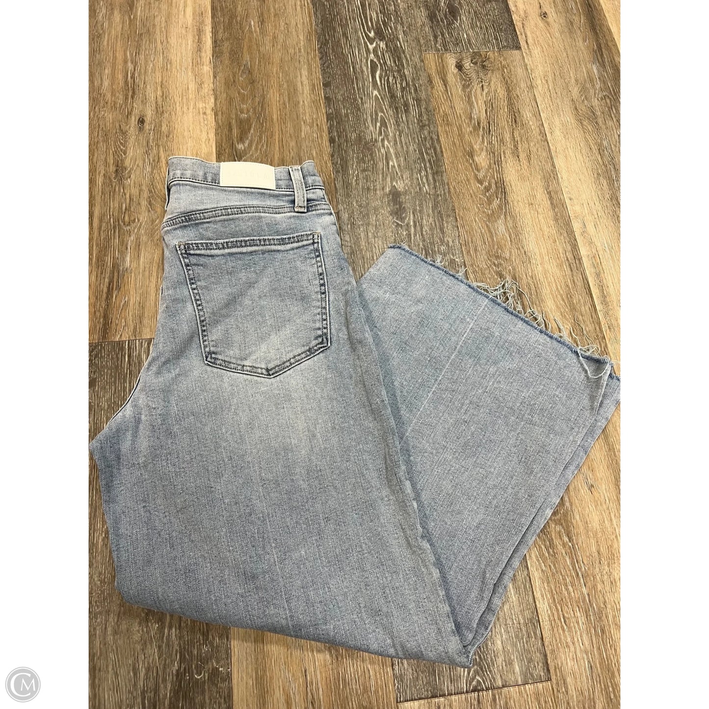 Jeans Wide Leg By Pistola In Blue Denim, Size: 10/30