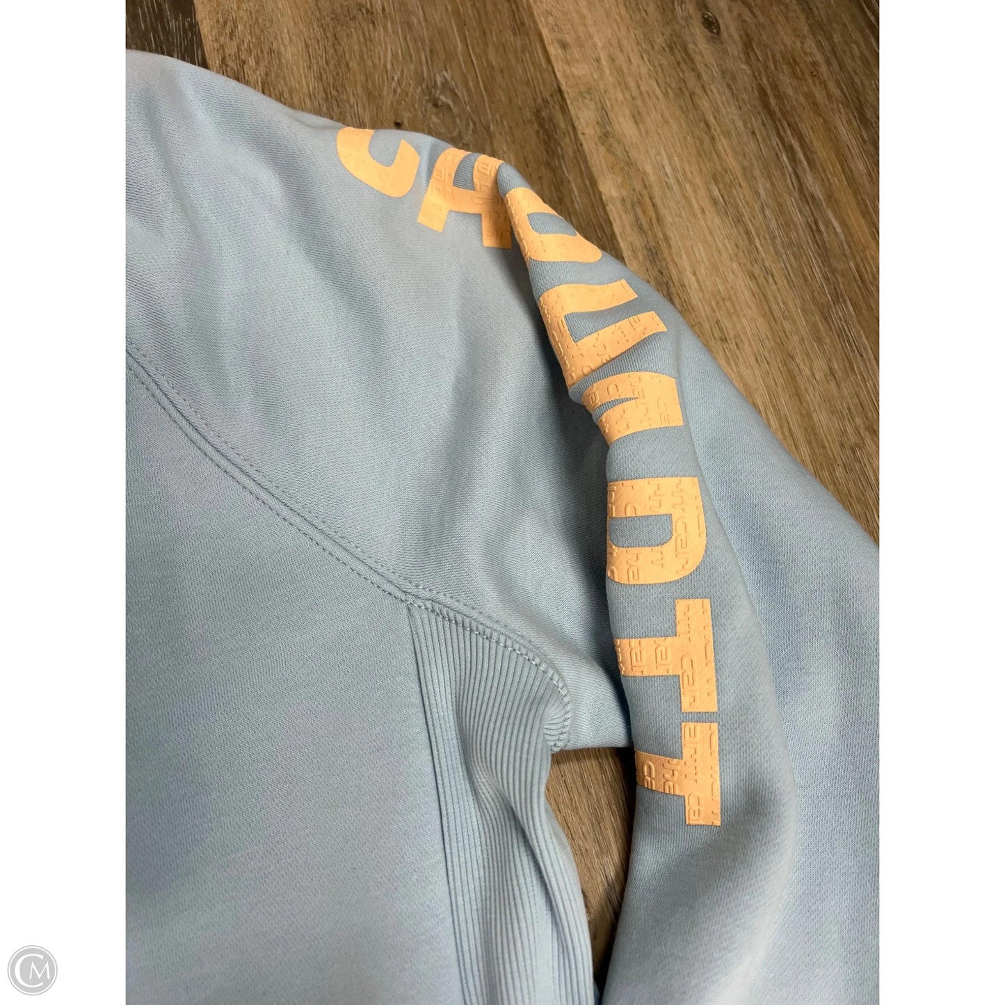 Athletic Sweatshirt Crewneck By Carhartt In Blue, Size: 2x