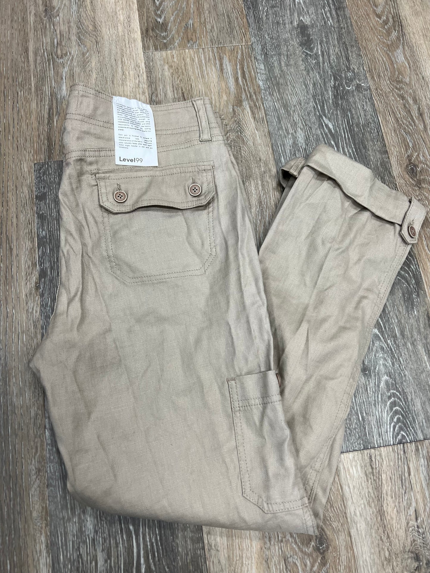 Pants Cargo & Utility By Level 99 Size: 4/27