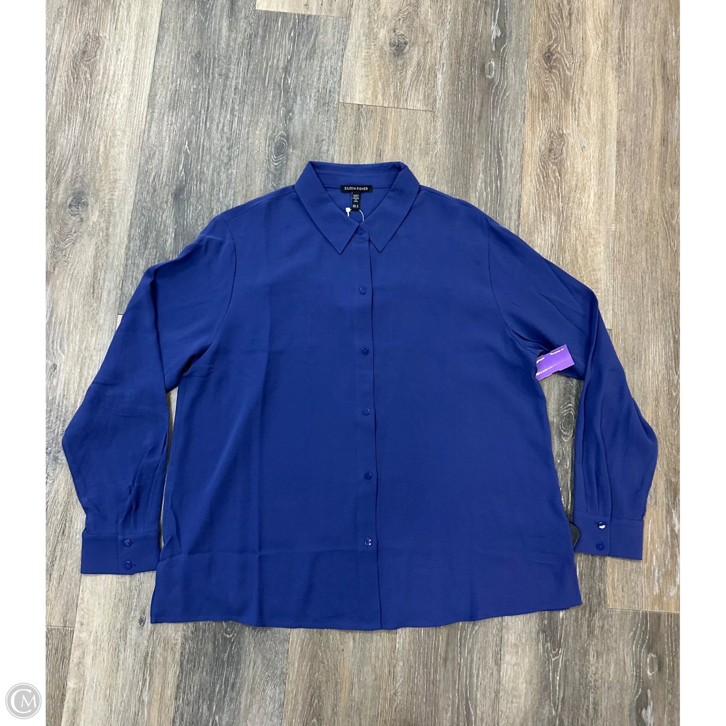 Blouse Long Sleeve By Eileen Fisher In Blue, Size: M
