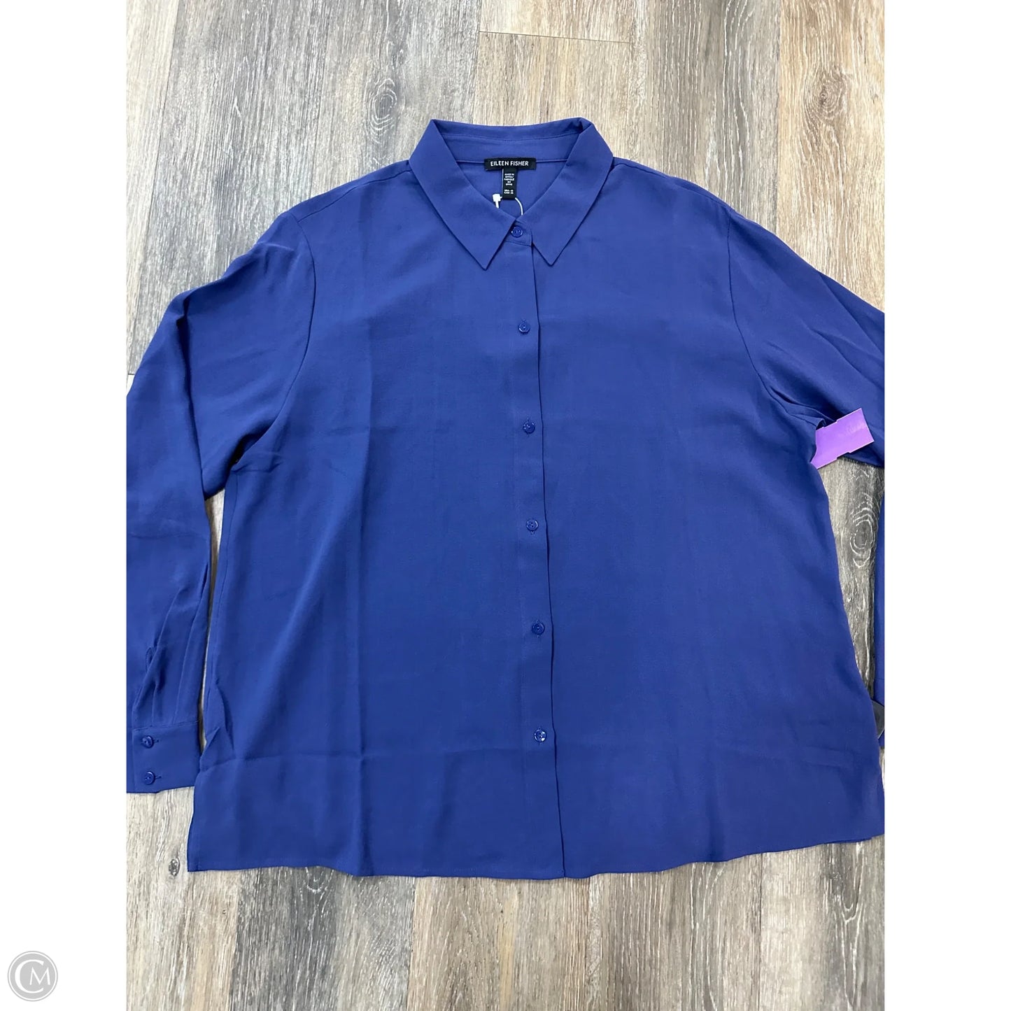 Blouse Long Sleeve By Eileen Fisher In Blue, Size: M