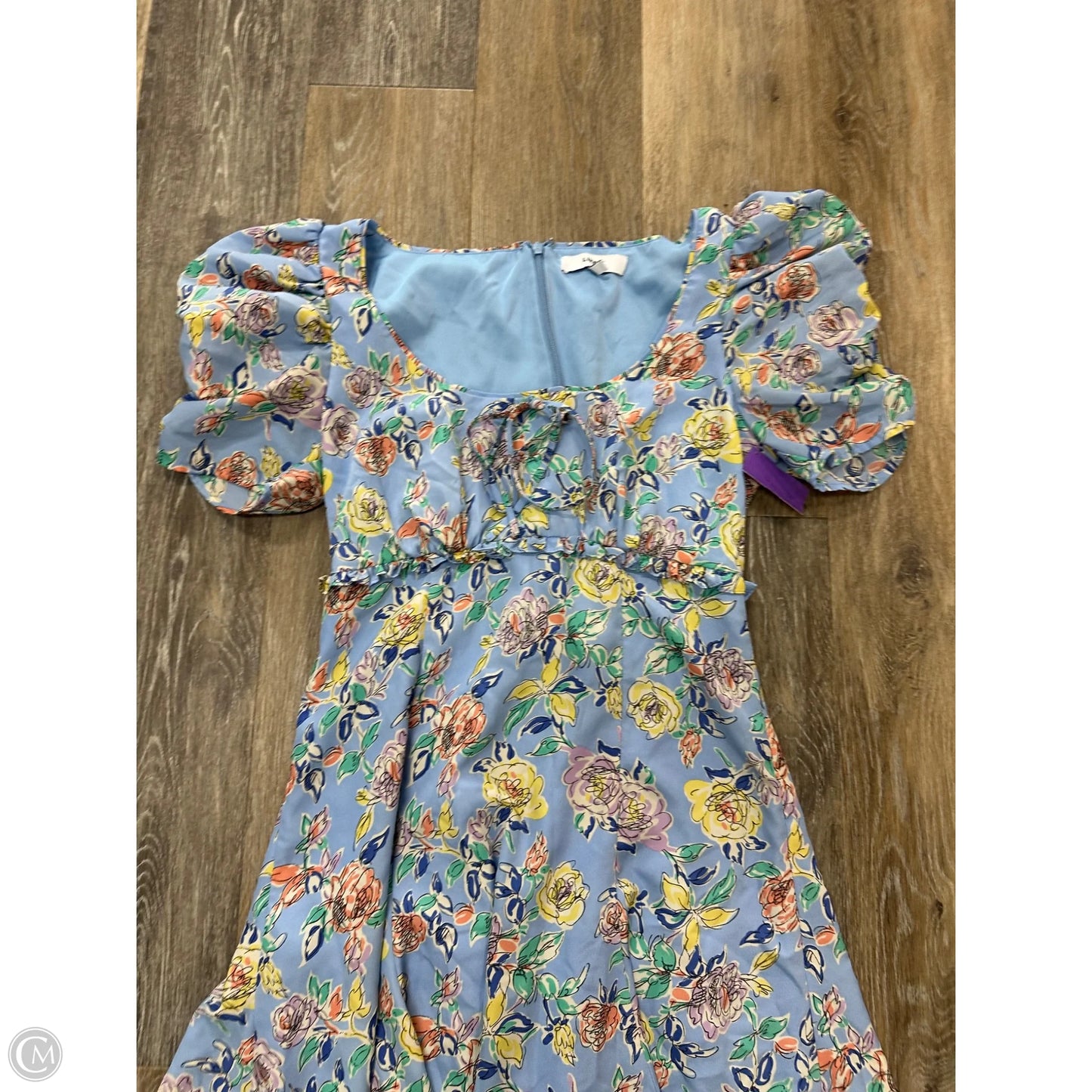 Dress Casual Short By Likely In Blue, Size: 4