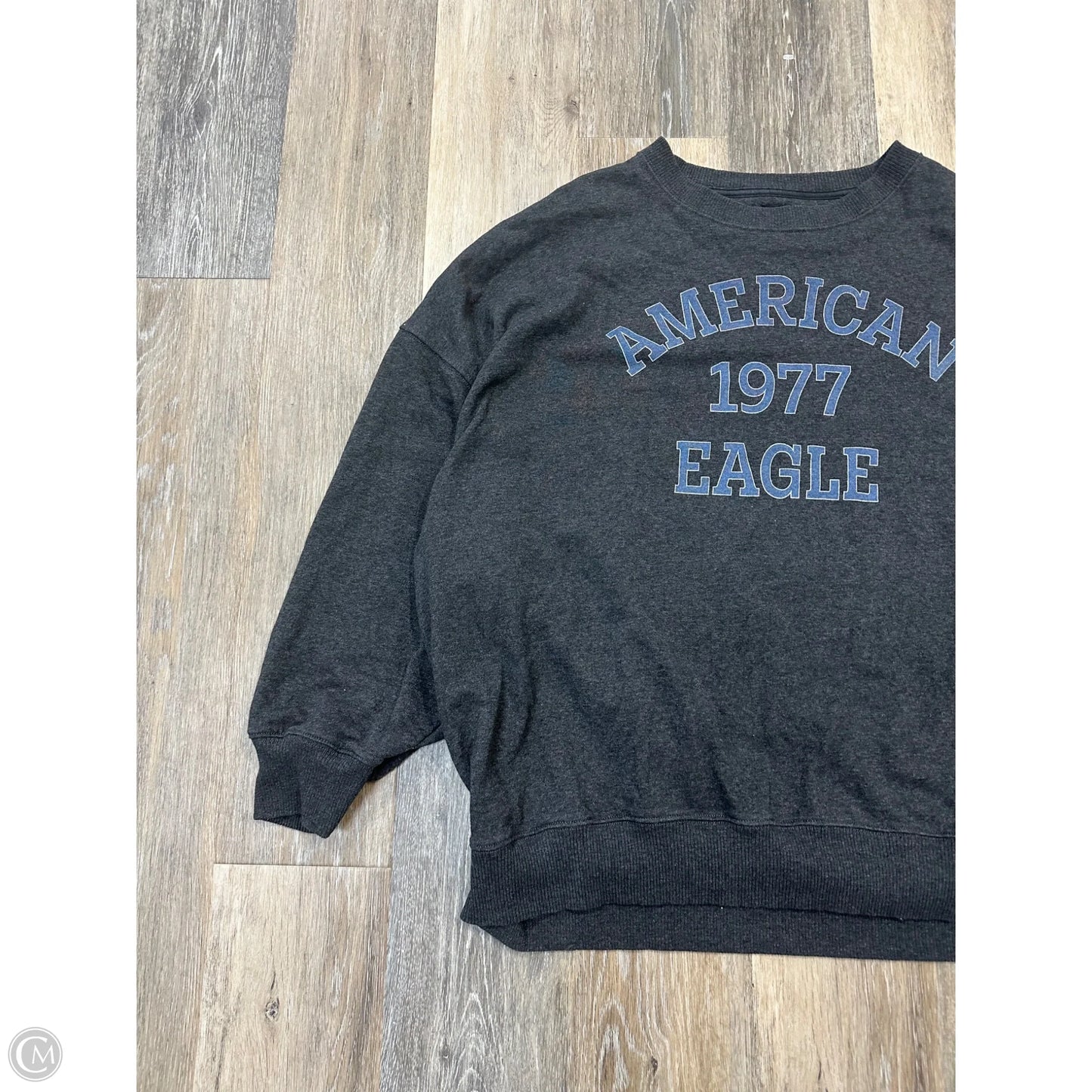 Sweatshirt Crewneck By American Eagle In Grey, Size: Xxl