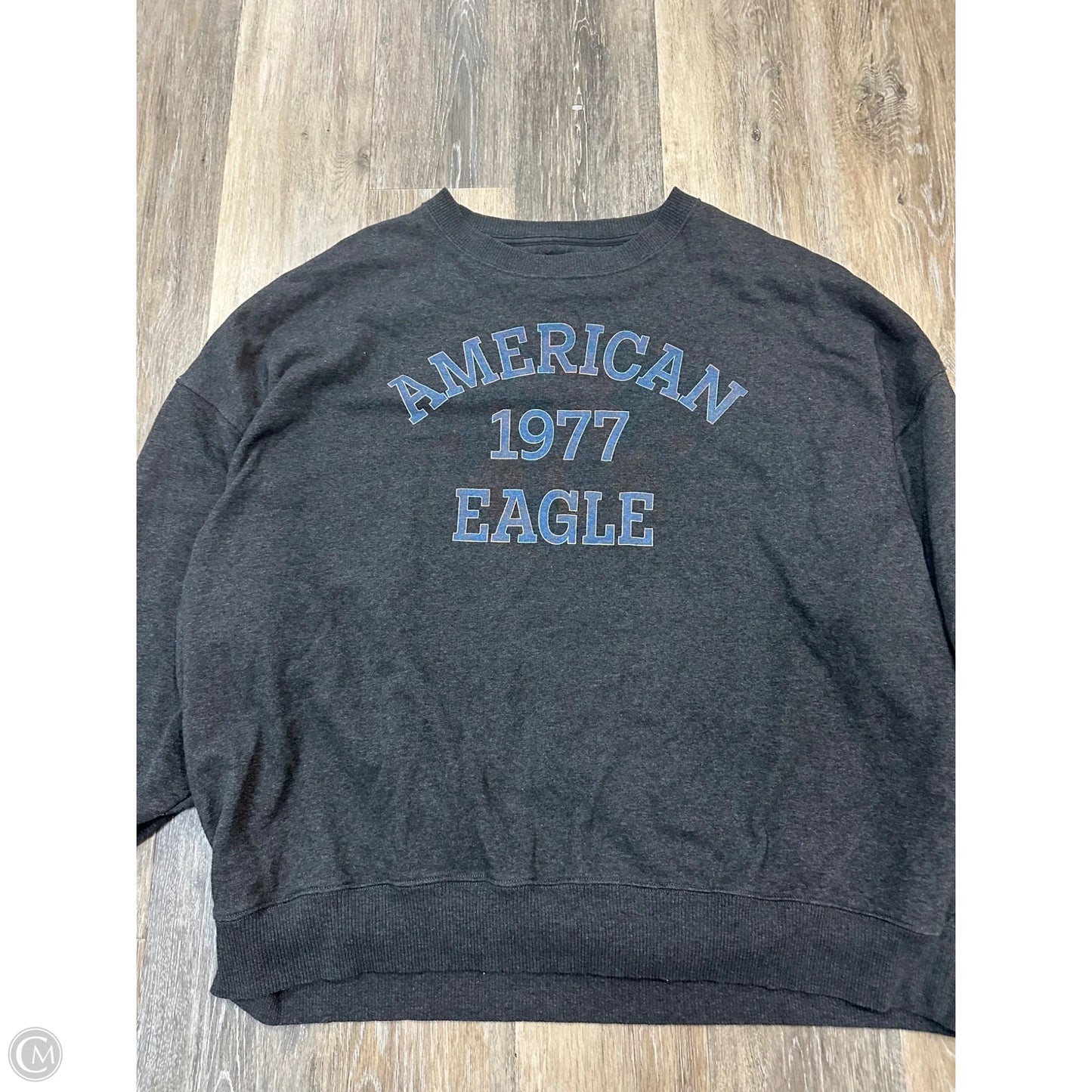 Sweatshirt Crewneck By American Eagle In Grey, Size: Xxl
