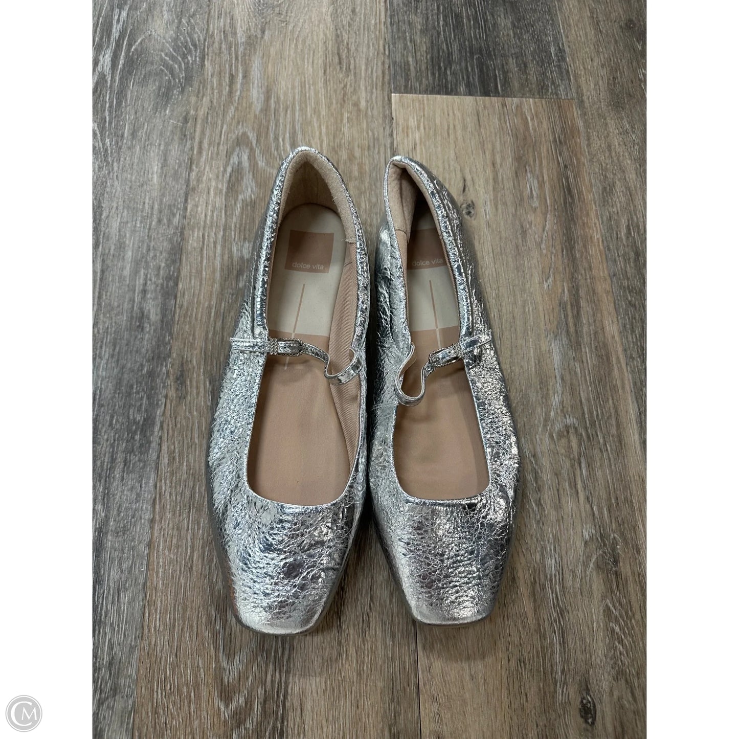 Shoes Flats By Dolce Vita In Silver, Size: 9.5