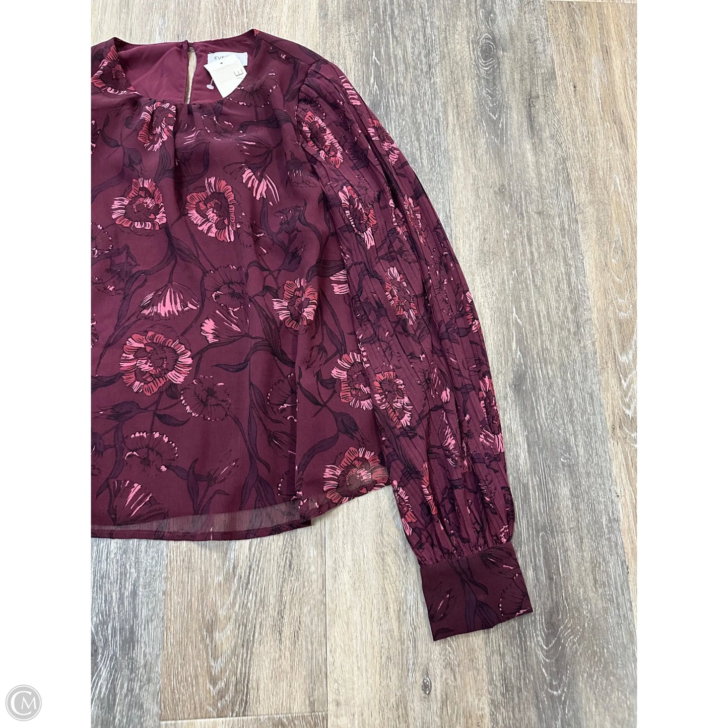 Blouse Long Sleeve By Evereve In Floral Print, Size: S