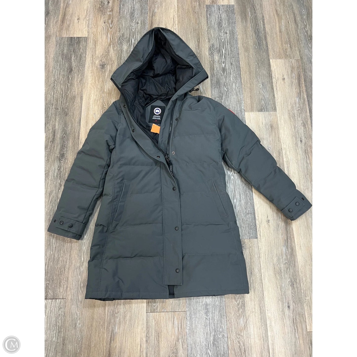 Coat Luxury Designer By Canada Goose In Grey, Size: L