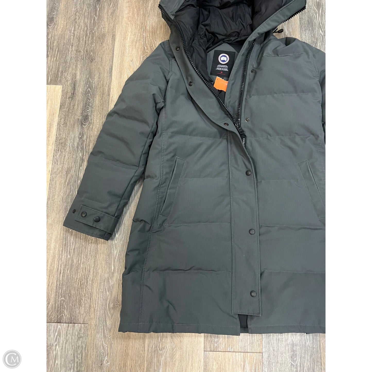 Coat Luxury Designer By Canada Goose In Grey, Size: L