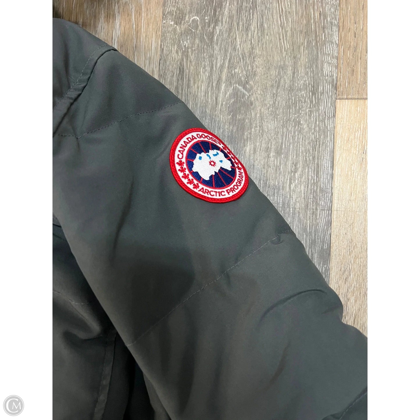 Coat Luxury Designer By Canada Goose In Grey, Size: L