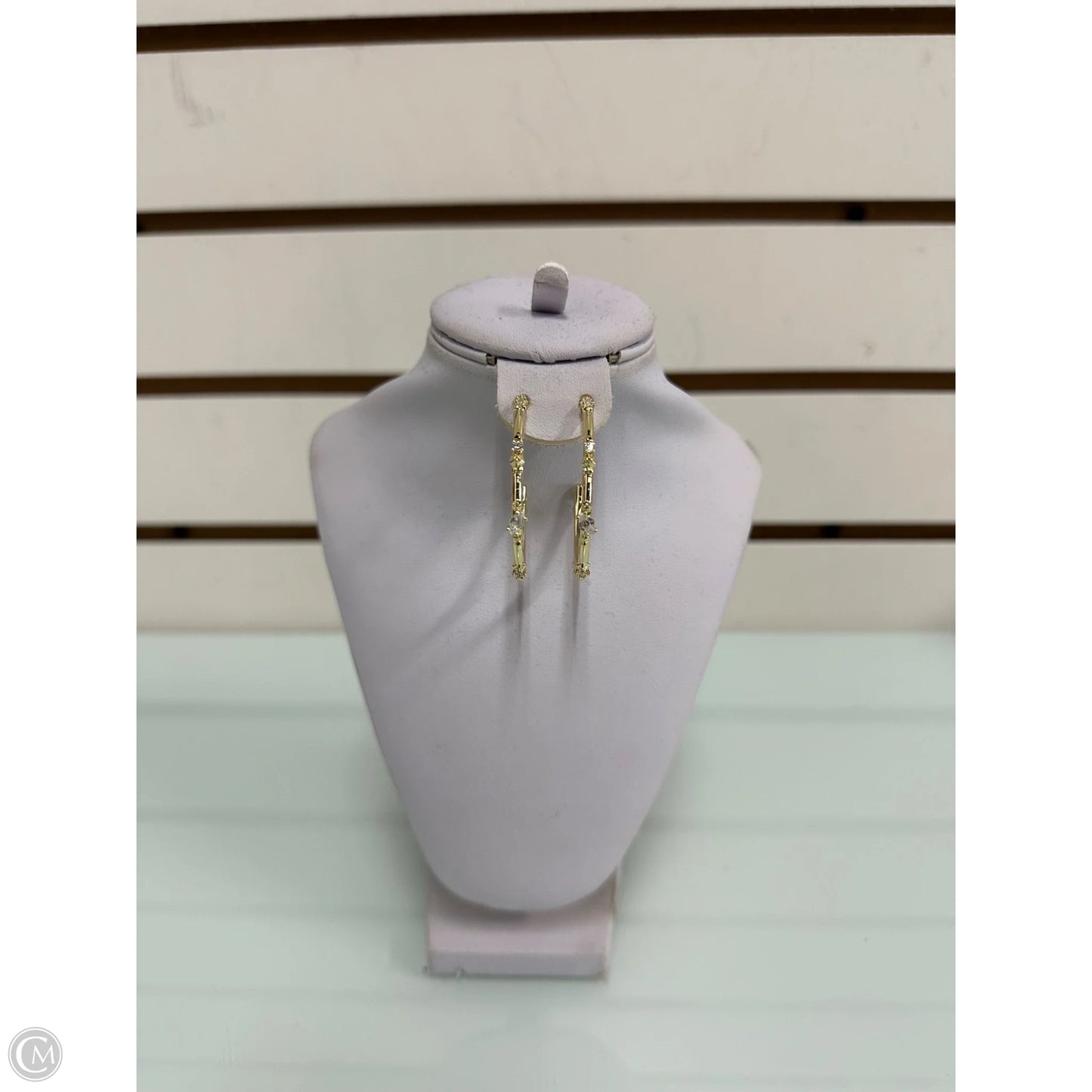 Earrings Hoop By Kendra Scott