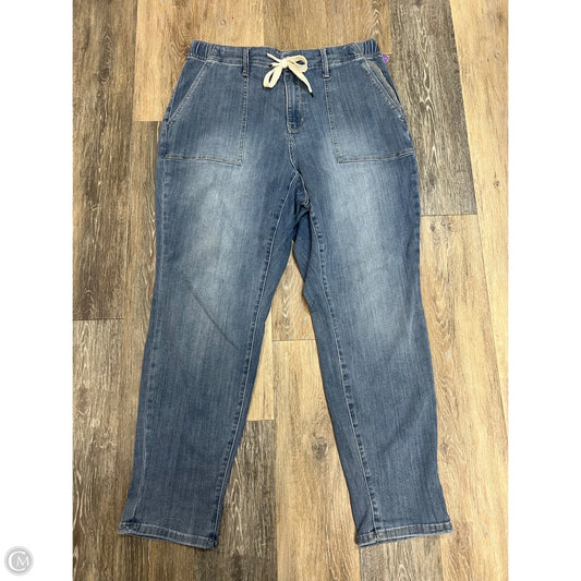 Jeans Skinny By Judy Blue In Blue Denim, Size: 16