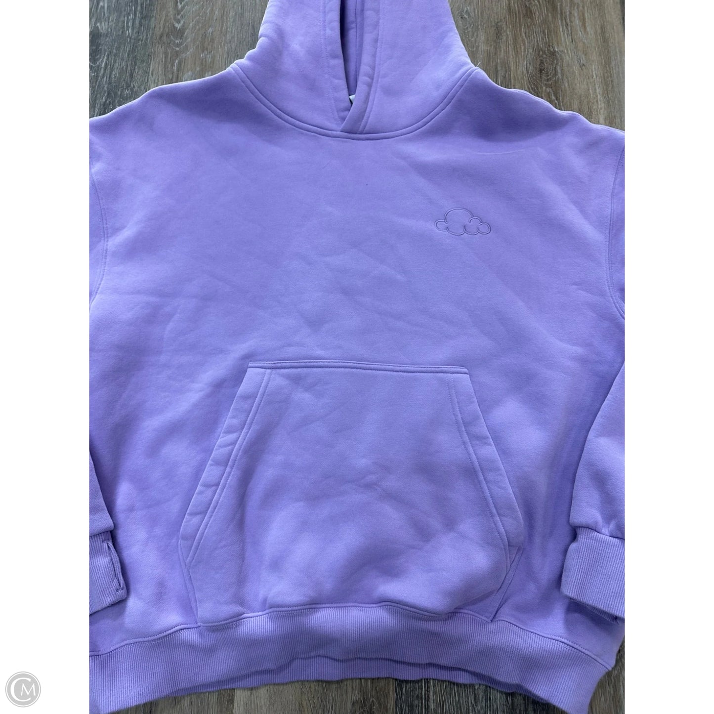 Sweatshirt Hoodie By Cloud Nine In Purple, Size: L