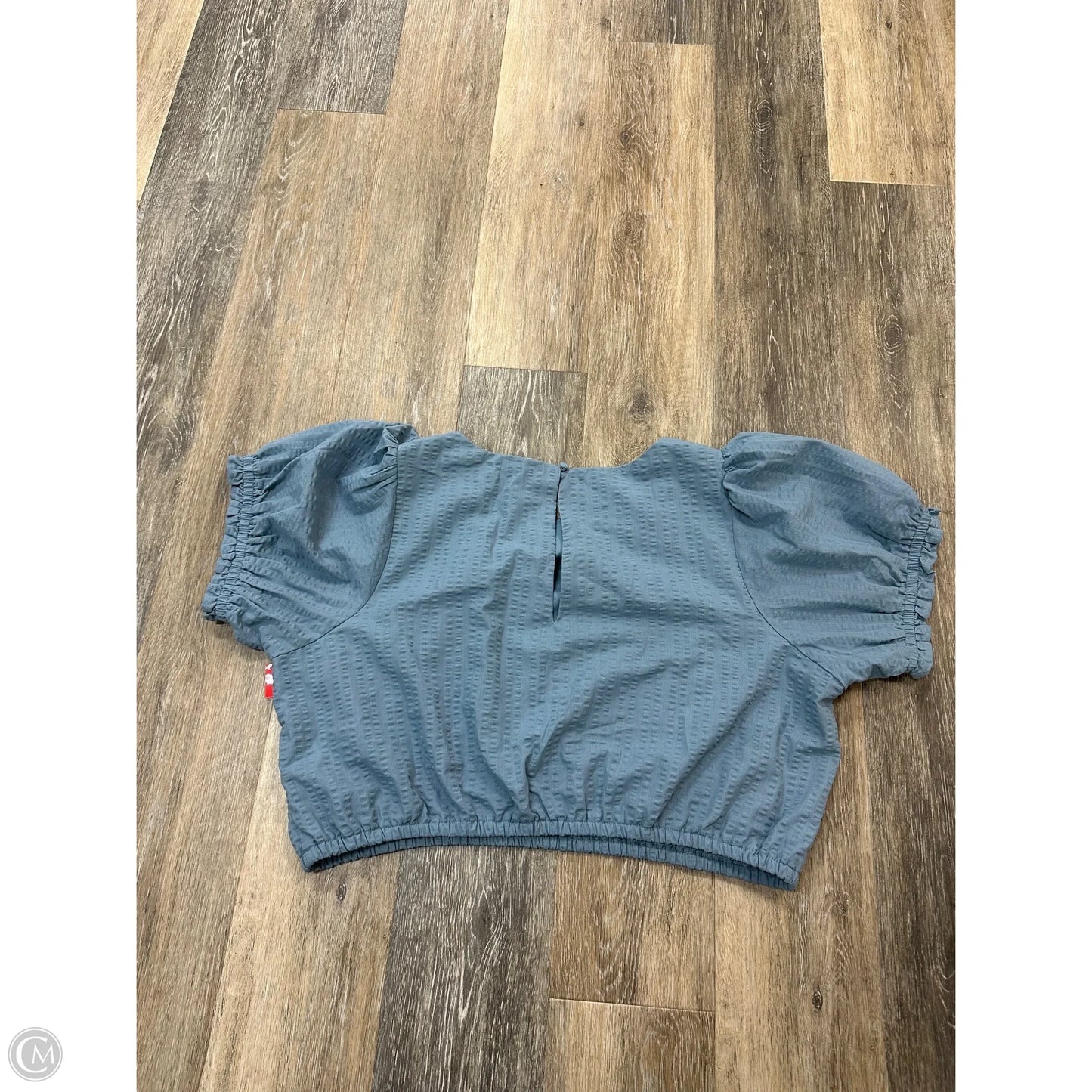 Skirt Set 2pc By Torrid In Blue, Size: 2x