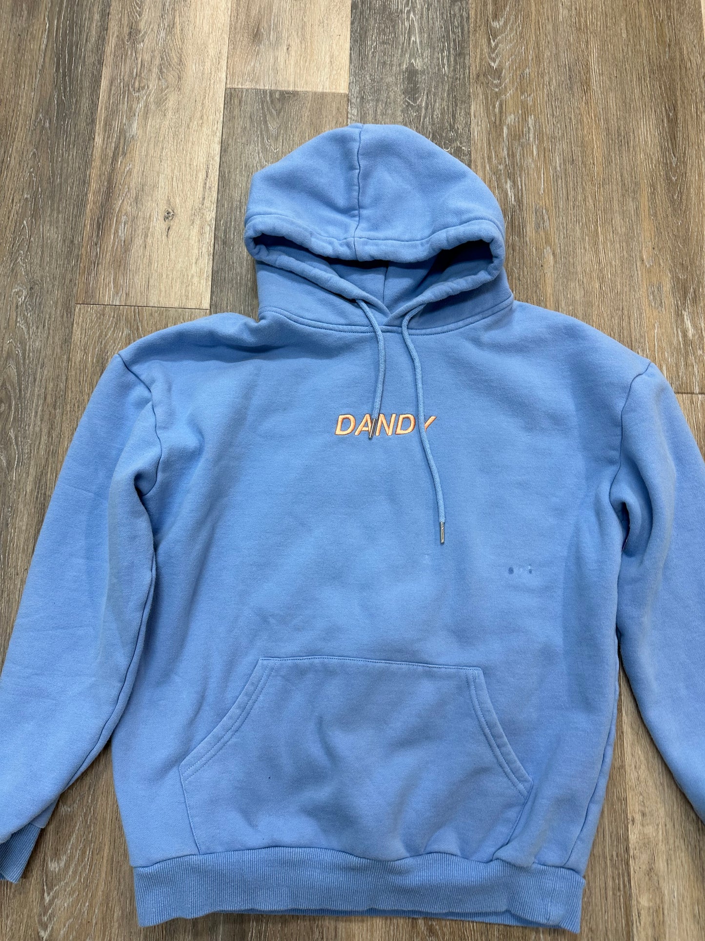 Sweatshirt Hoodie By Dandy Worldwide In Blue, Size: M