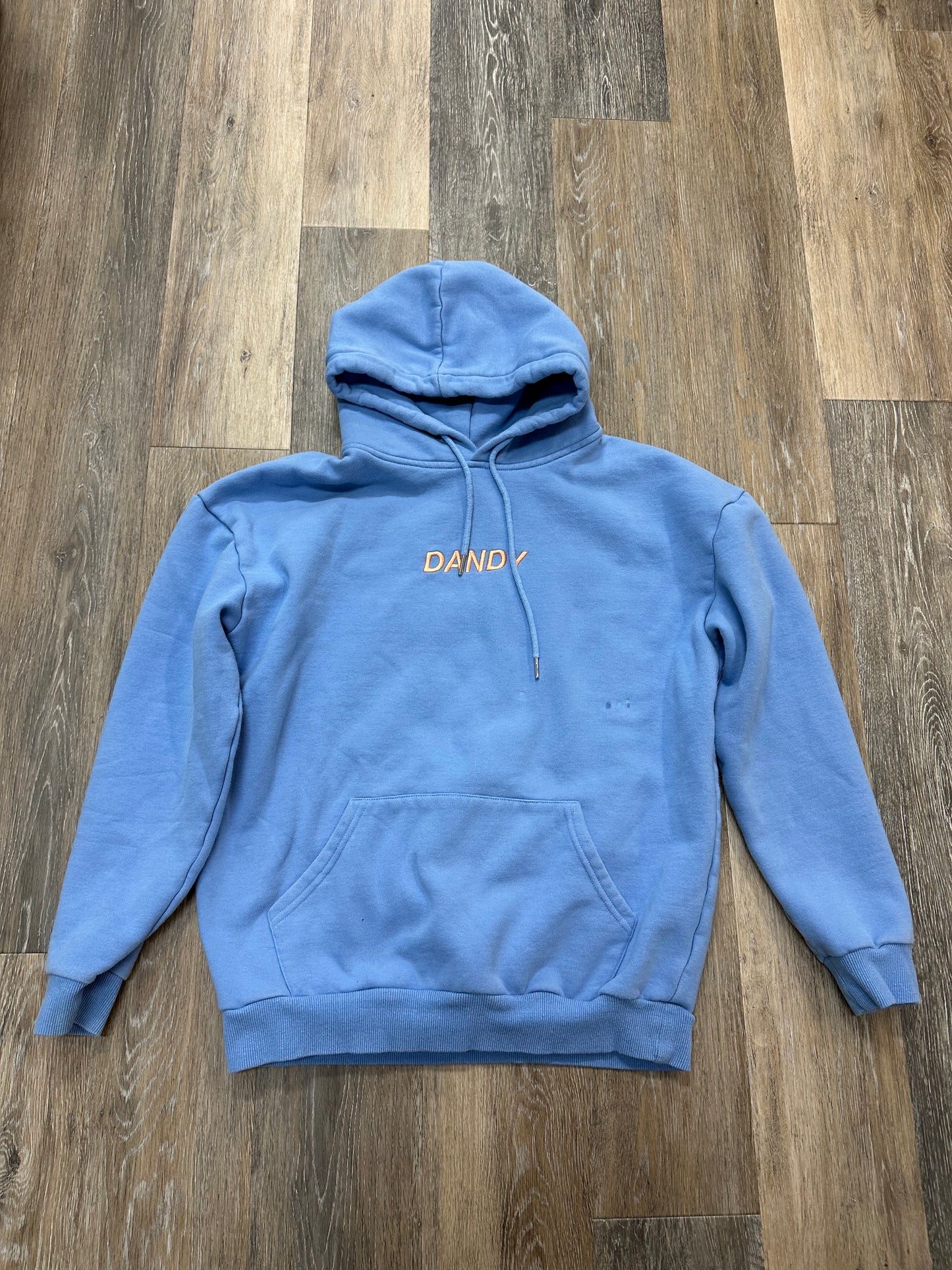 Sweatshirt Hoodie By Dandy Worldwide In Blue, Size: M