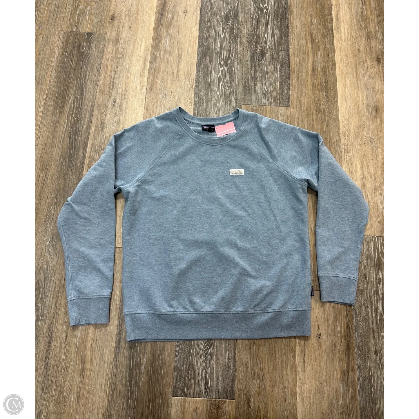 Sweatshirt Crewneck By Patagonia In Blue, Size: L