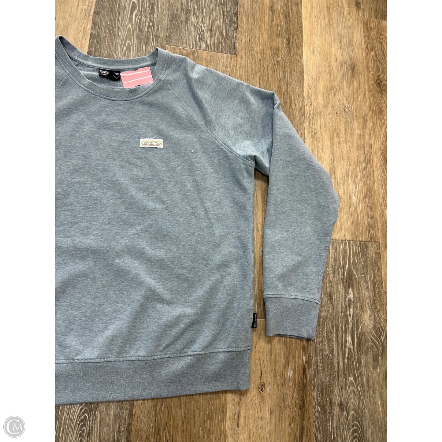 Sweatshirt Crewneck By Patagonia In Blue, Size: L