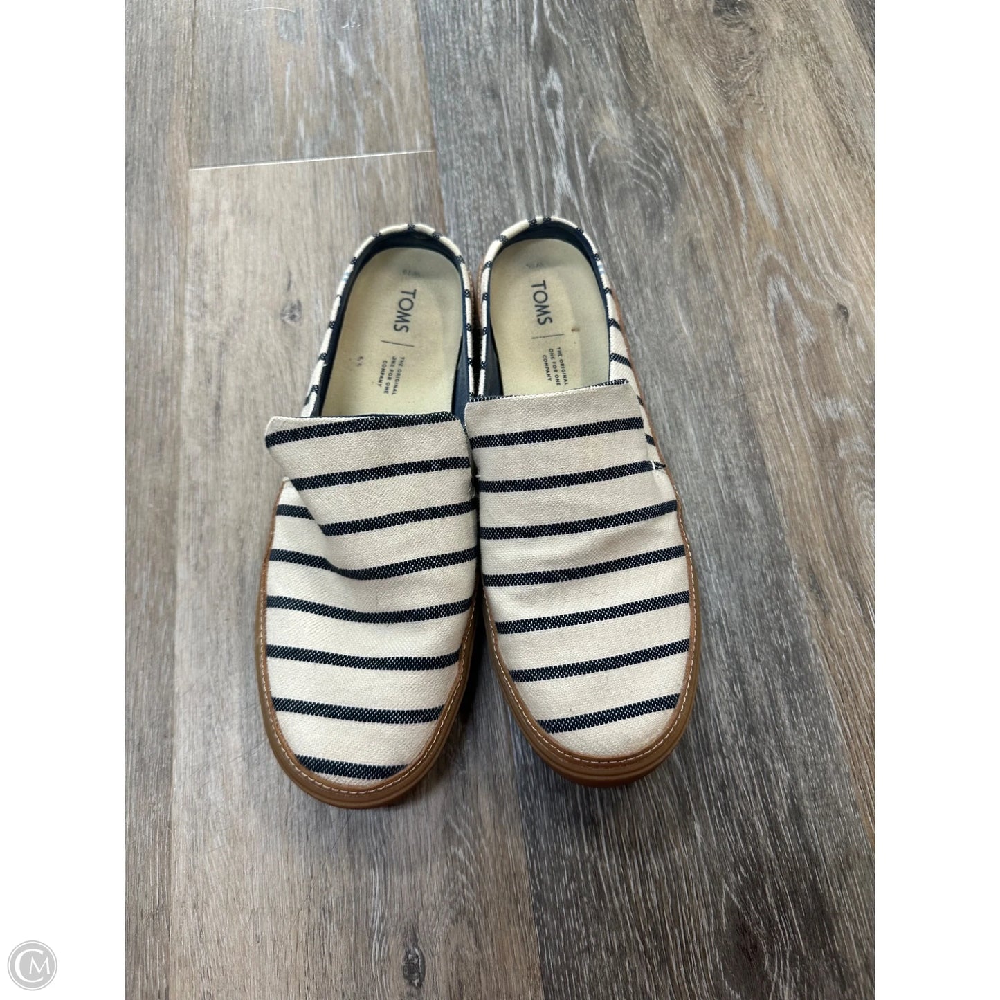 Shoes Flats By Toms In Striped Pattern, Size: 10
