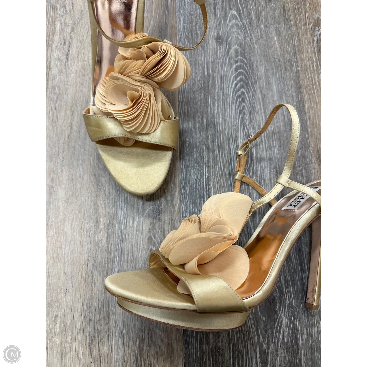 Shoes Heels Stiletto By Badgley Mischka In Gold, Size: 9.5