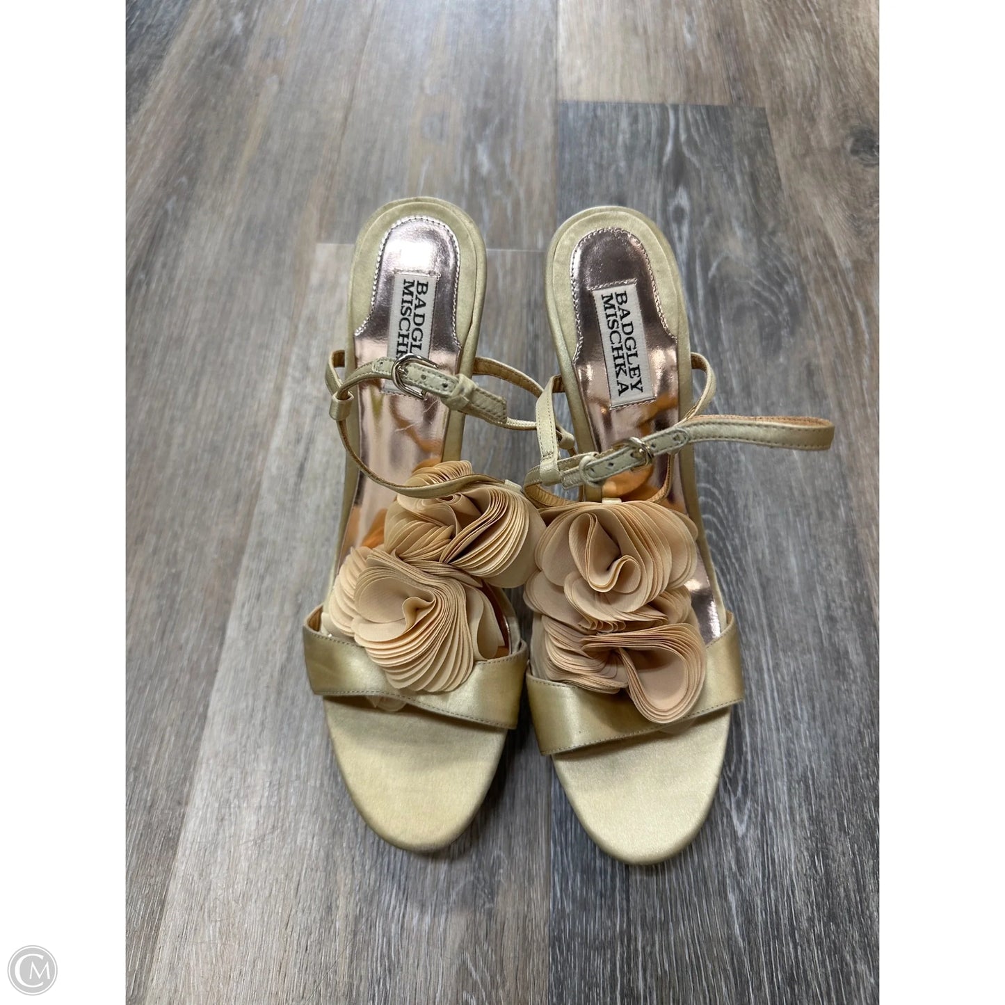 Shoes Heels Stiletto By Badgley Mischka In Gold, Size: 9.5