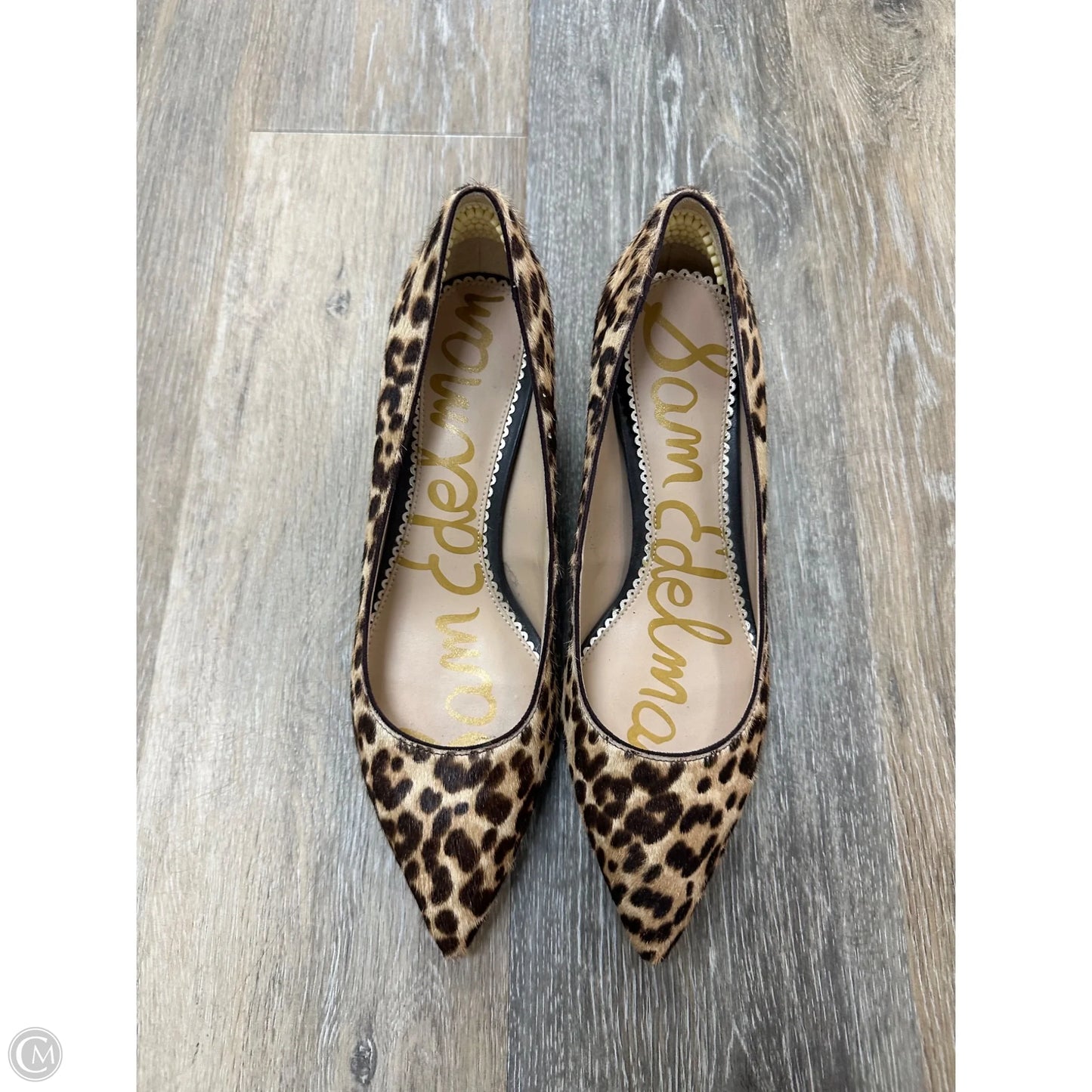 Shoes Heels Kitten By Sam Edelman In Animal Print, Size: 7.5