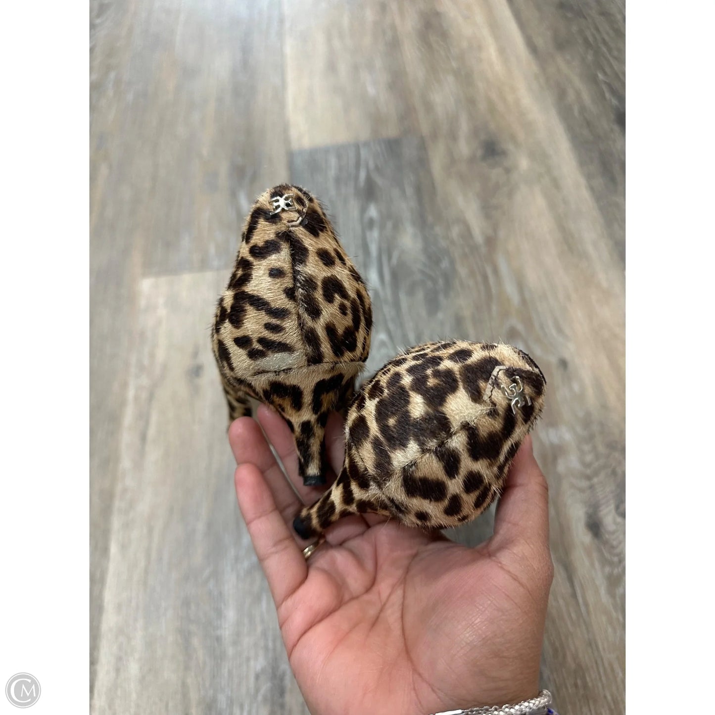 Shoes Heels Kitten By Sam Edelman In Animal Print, Size: 7.5